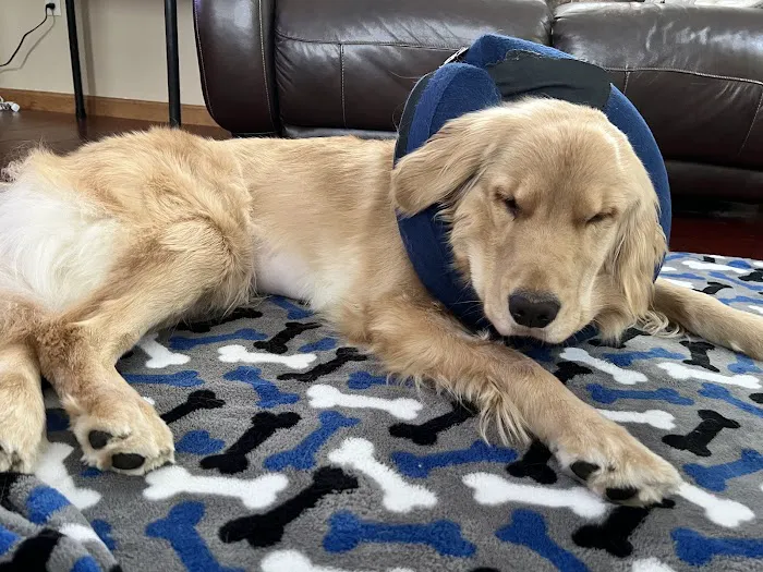 Middlesex County Animal Hospital 6