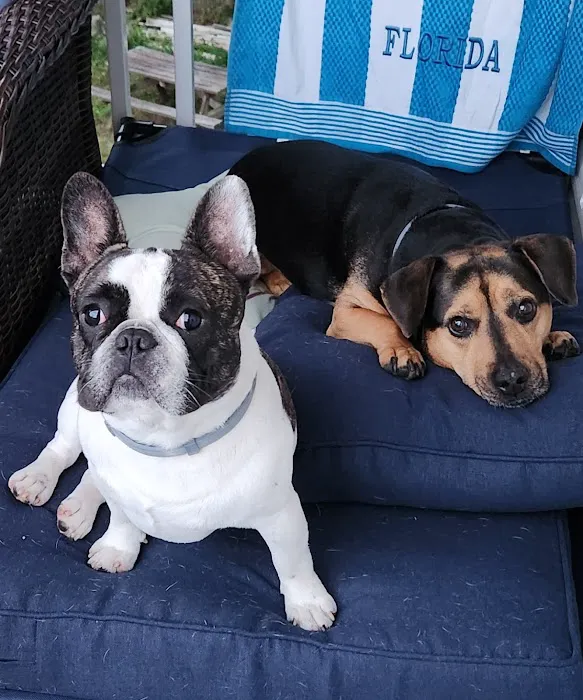 Middlesex County Animal Hospital 4