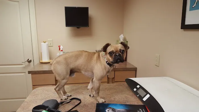 Middlesex County Animal Hospital 10