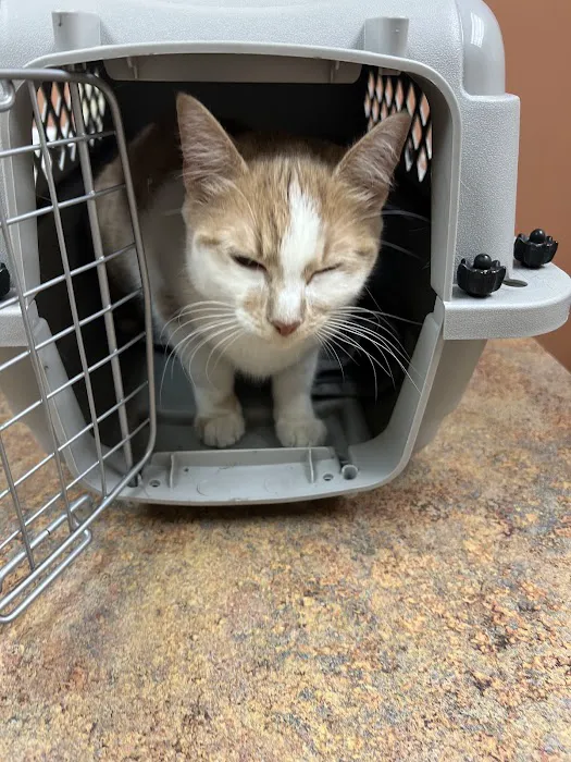 Middlesex County Animal Hospital 8