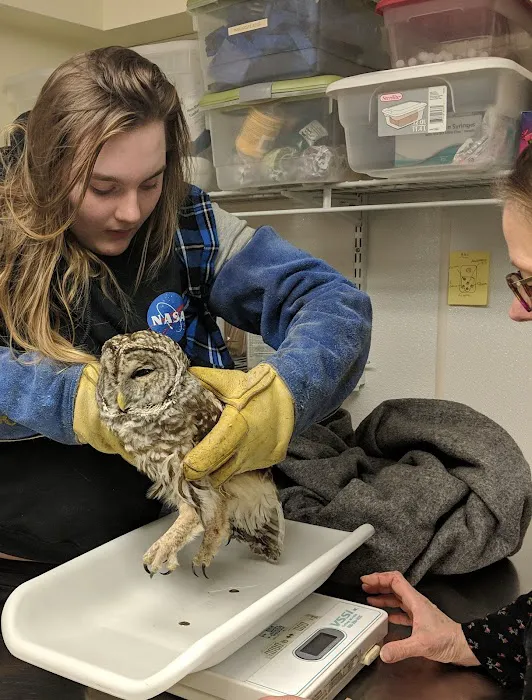 Granite State Animal Hospital 8