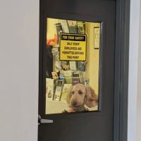 Granite State Animal Hospital ico