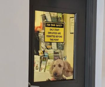 Granite State Animal Hospital