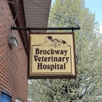 Brockway Veterinary Clinic ico