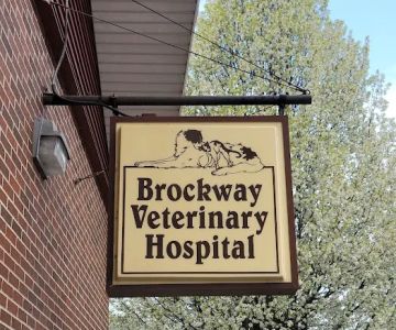 Brockway Veterinary Clinic