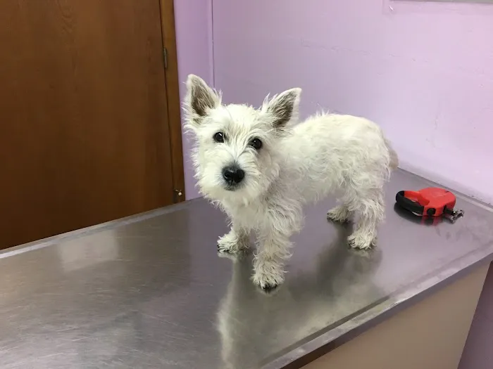 Brockway Veterinary Clinic 6