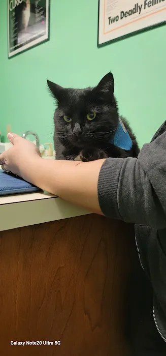 Brockway Veterinary Clinic 10