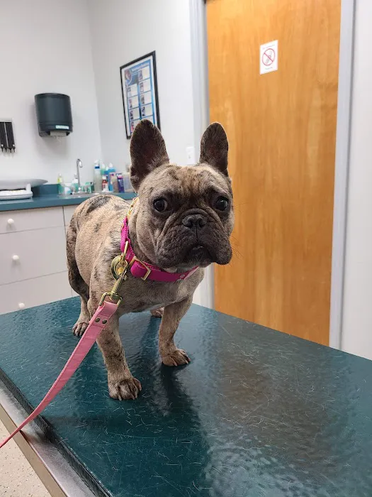 Wright's Corners Animal Care Center 7