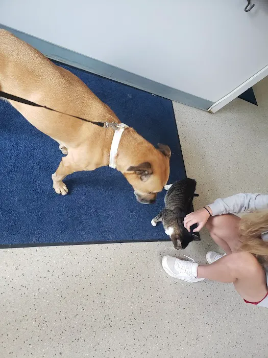 Wright's Corners Animal Care Center 6