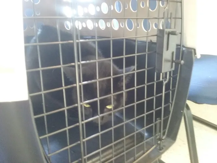 Wright's Corners Animal Care Center 4