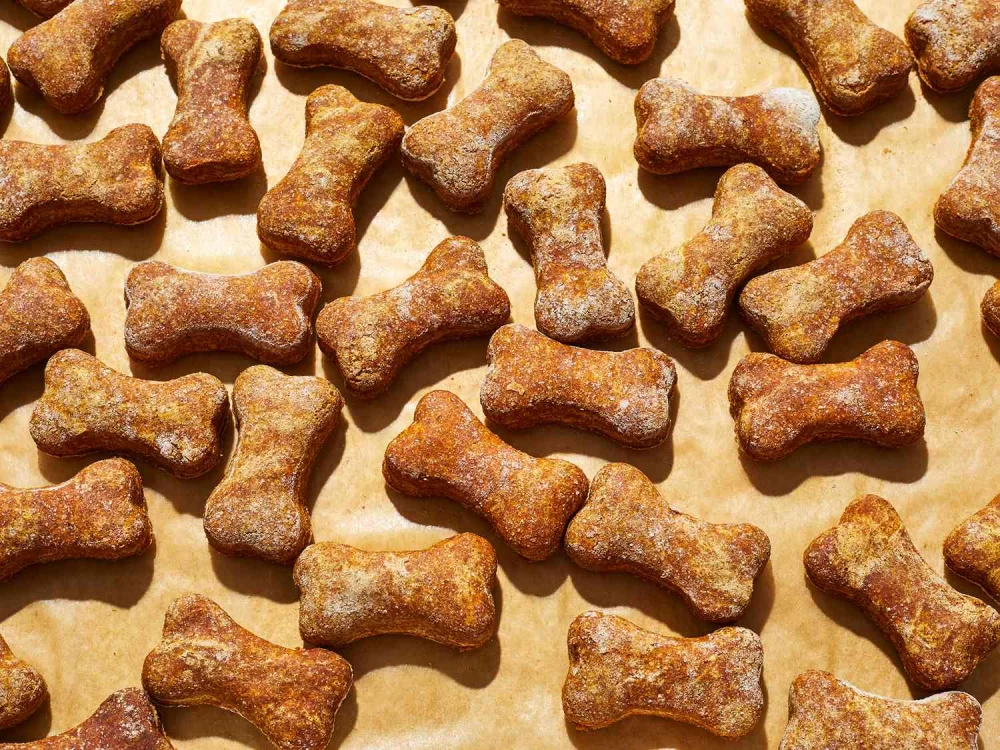 Delicious and Healthy Homemade Dog Biscuits Recipes You Can Make at Home