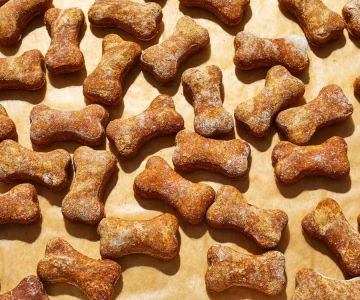 Delicious and Healthy Homemade Dog Biscuits Recipes You Can Make at Home