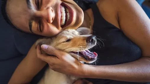 The Best Care for a Pet with Cancer: Expert Tips and Insights