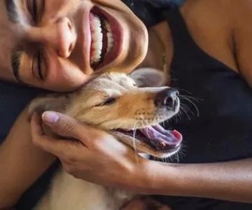 The Best Care for a Pet with Cancer: Expert Tips and Insights