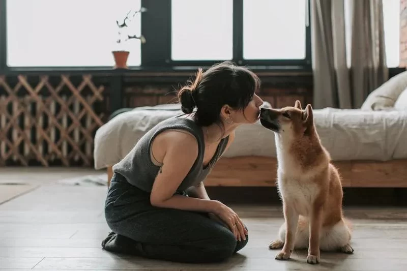 Dealing with Pet’s Separation Anxiety During Travel: Expert Tips and Solutions