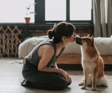 Dealing with Pet’s Separation Anxiety During Travel: Expert Tips and Solutions
