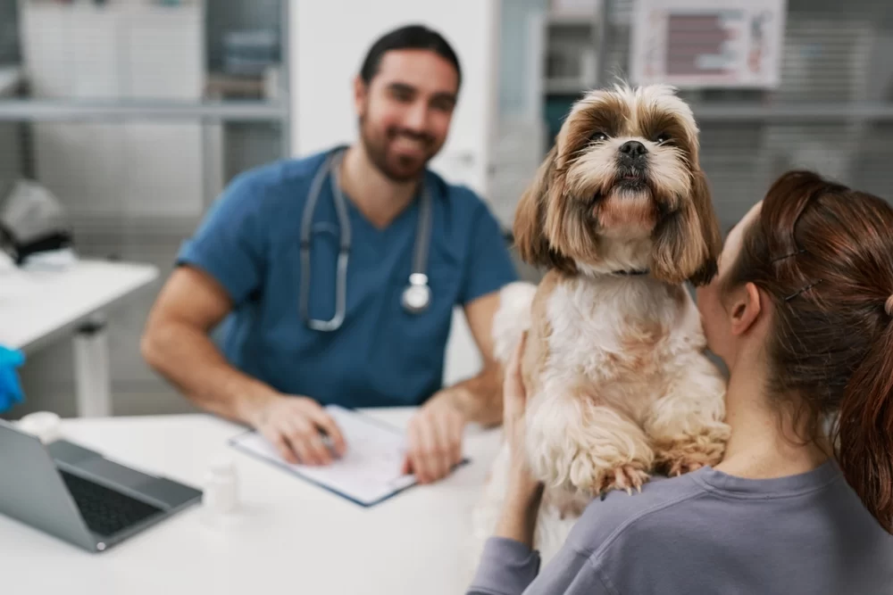 Understanding Common Pet Health Tests: Essential Diagnostics for Your Pet’s Wellbeing