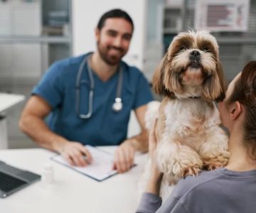 Understanding Common Pet Health Tests: Essential Diagnostics for Your Pet’s Wellbeing
