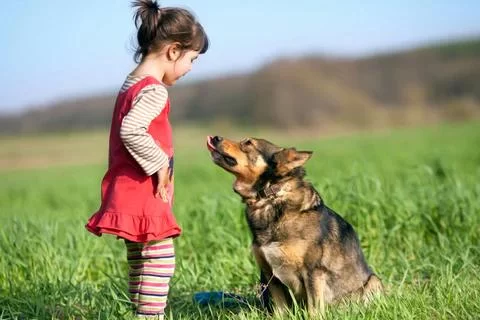How to Train a Dog to Be Calm Around Kids: Effective Strategies for Families