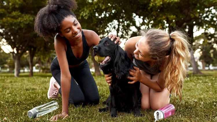 Best Tips for Adopting a New Pet in the USA – Essential Advice and Insights