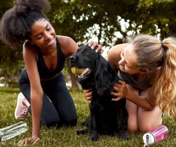 Best Tips for Adopting a New Pet in the USA – Essential Advice and Insights