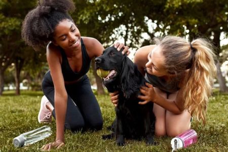 Best Tips for Adopting a New Pet in the USA – Essential Advice and Insights