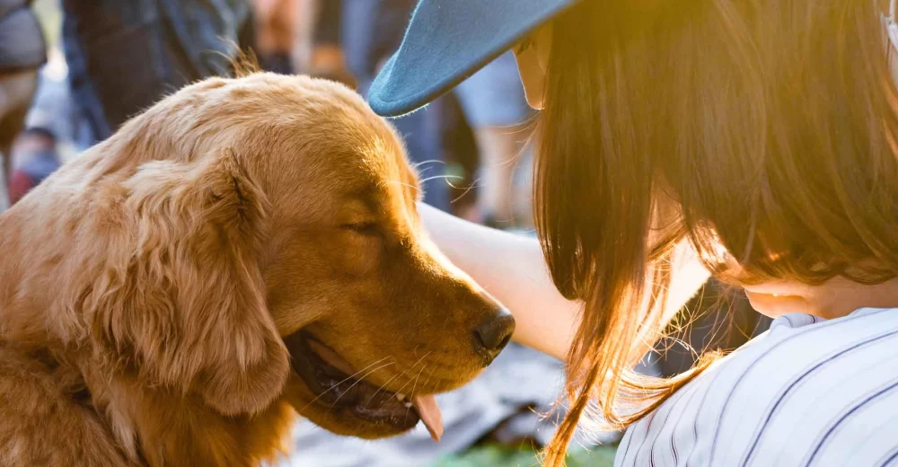 Pet Vaccination Myths and Facts You Need to Know