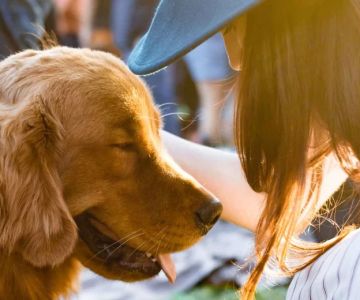 Pet Vaccination Myths and Facts You Need to Know