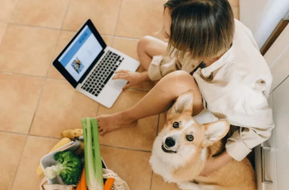 How to Teach a Dog to Wait Before Eating: Training Tips for Better Manners
