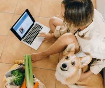 How to Teach a Dog to Wait Before Eating: Training Tips for Better Manners