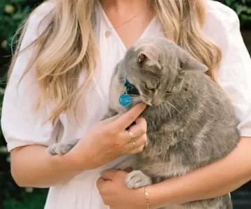 How to Handle Pet Grief After a Loss: A Guide for Pet Owners