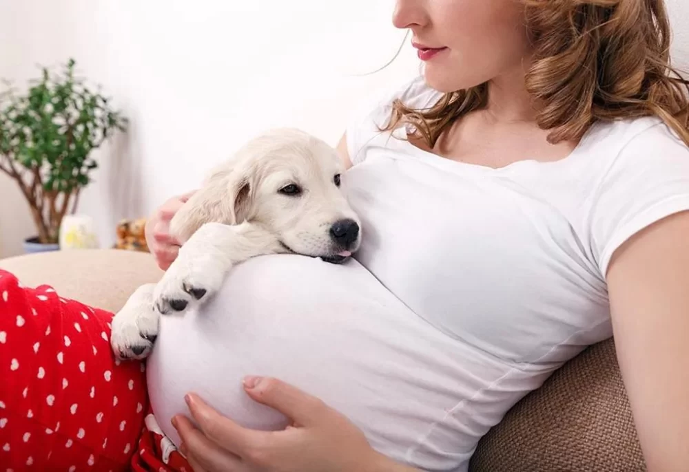 How to Care for a Pregnant Pet: Essential Tips for Pet Owners