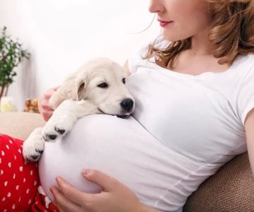 How to Care for a Pregnant Pet: Essential Tips for Pet Owners