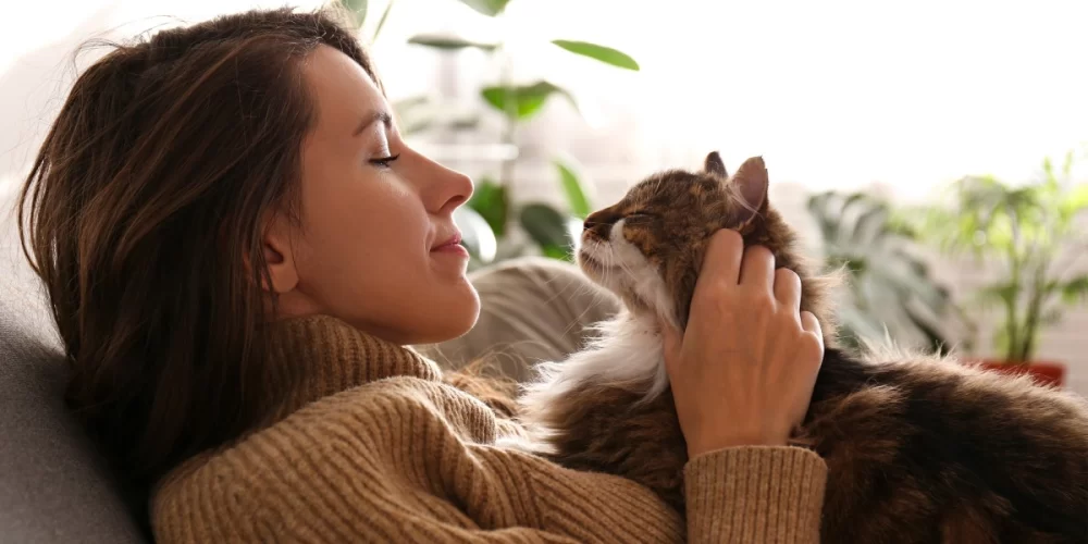 Common Health Problems in Senior Cats: Understanding and Caring for Your Aging Feline
