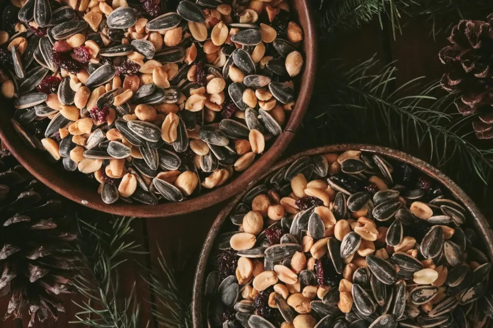How to Make Effective Homemade Bird Seed Mixes for Healthy Backyard Birds