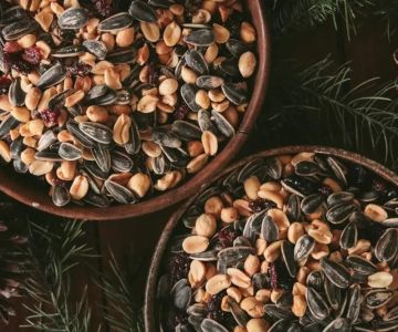How to Make Effective Homemade Bird Seed Mixes for Healthy Backyard Birds