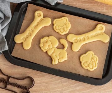 Homemade Treats for Puppies with Allergies: Safe and Healthy Recipes for Sensitive Pups
