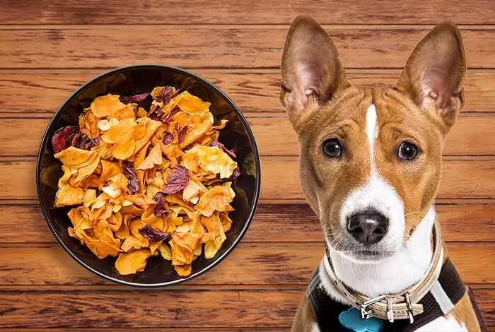 Homemade Treats for Diabetic Dogs: Safe, Tasty, and Healthy Snack Ideas