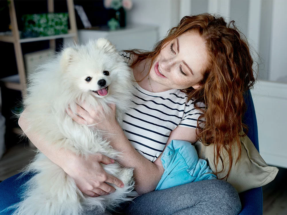 Caring for Senior Pets with Arthritis: Tips and Insights for Comfortable Aging