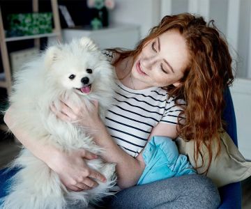 Caring for Senior Pets with Arthritis: Tips and Insights for Comfortable Aging