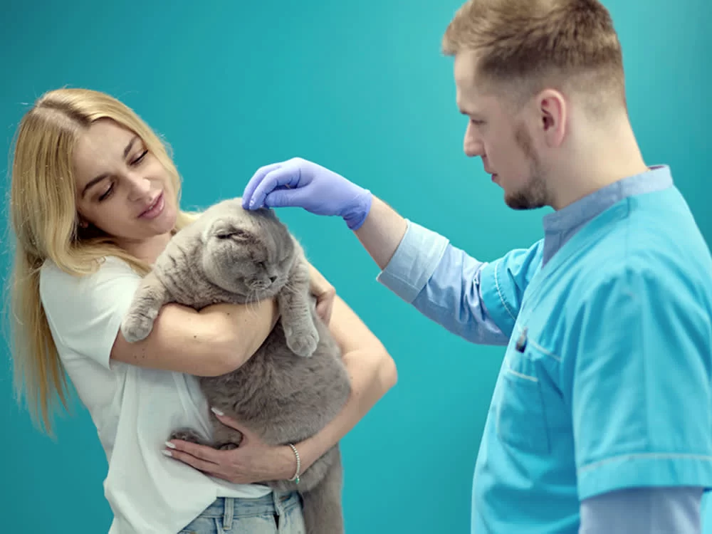 When to Seek a Second Opinion for Your Pet’s Health: A Guide for Pet Owners