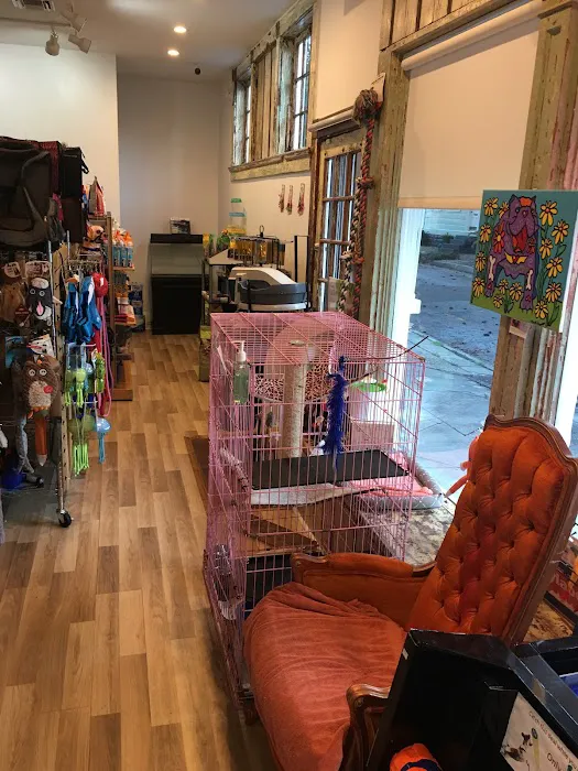 Big Easy Animal Rescue & Pet Shop 3