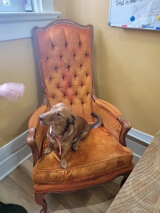 Big Easy Animal Rescue & Pet Shop 8