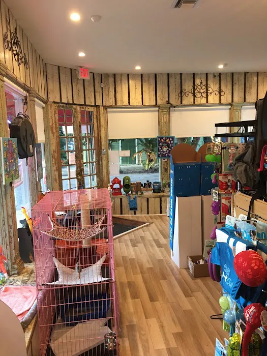 Big Easy Animal Rescue & Pet Shop 1