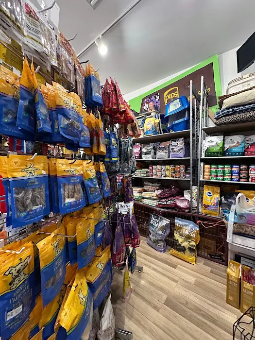 Big Easy Animal Rescue & Pet Shop 10