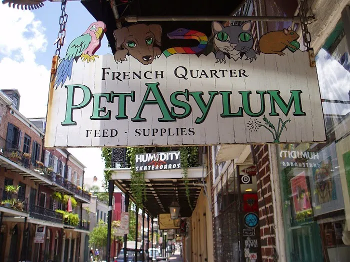 Big Easy Animal Rescue & Pet Shop 2