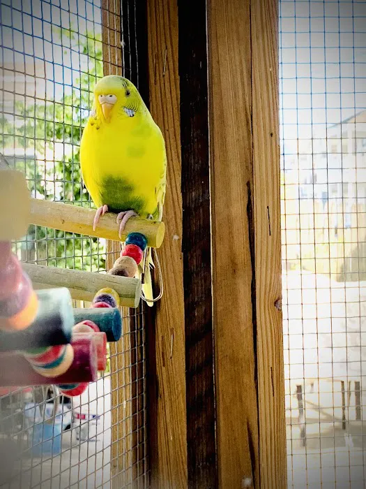 Petco 6