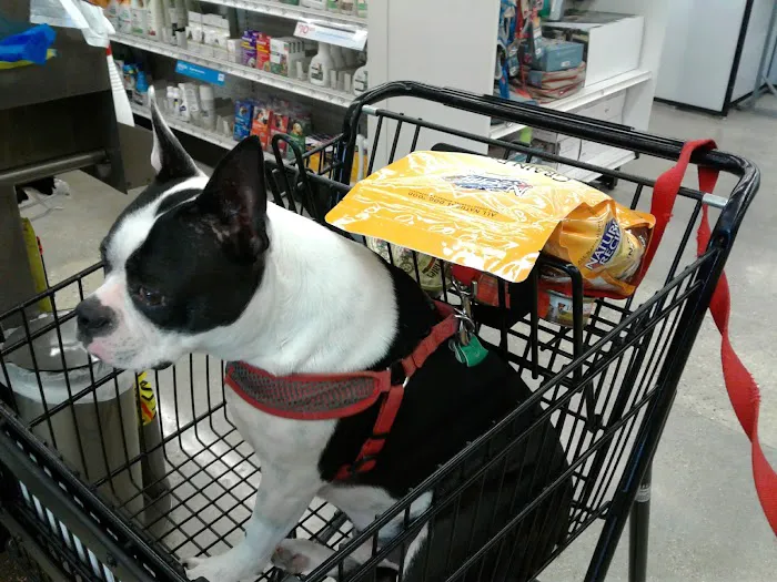Petco 10