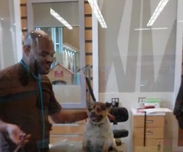 Petco