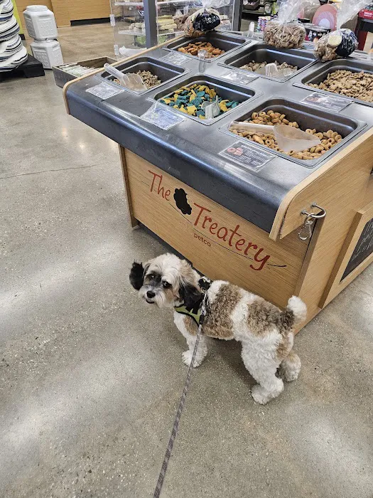 Petco 7